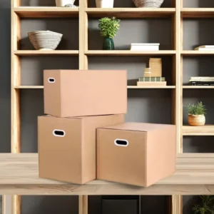 Shipping Delivery Moving Boxes with Handle and Plastic Handle Versions Heavy Duty Carton Packaging