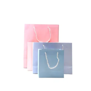 Shopping Paper Bag Clothing Shoe Packaging Washable Gift Paper Bag Print Kraft Paper Customized OEM & ODM Service