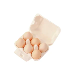 Single-Use White Pulp Egg Tray, 6-Egg Packaging