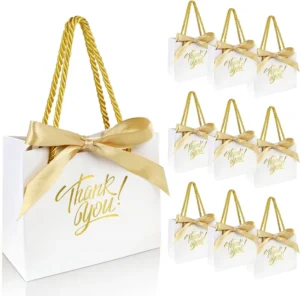 Small Biodegradable Recyclable Paper Gift Bag for Jewelry and Wedding Gifts with Custom Logo