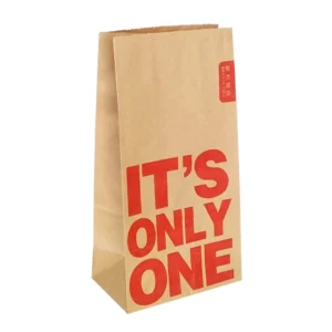 Small Recyclable Kraft Paper Takeaway Bags with Flexo Printing for Restaurant, Pizza, and Pet Food