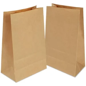 Small Recycled Kraft Paper Lunch Bag with Custom Logo