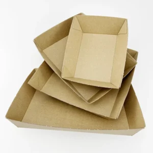 Snack Tray Cardboard Paper Packing Eco-Friendly Food Tray Free Sample