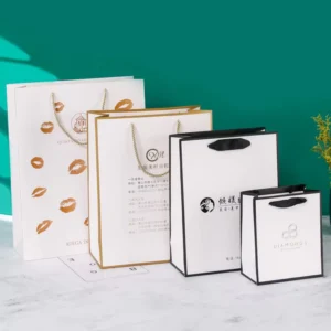 Solid Color White Card Paper Gift Bag with Custom Logo for Clothing Packaging