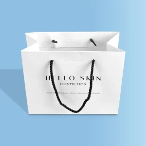 Source Factory Recyclable White Card Gift and Clothing Paper Bag with Handle