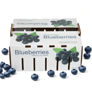 Stackable Corrugated Cardboard Blueberry Export Packaging Carton Box
