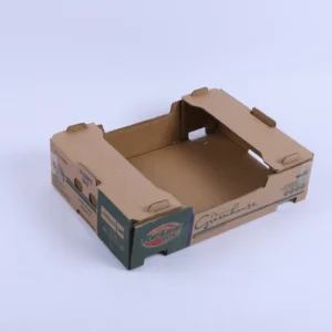 Strong Corrugated Board Paper Carton for Fresh Fruits with Self-Assembly