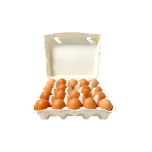 Sugarcane Bagasse Pulp Paper Egg Carton, 20-Hole Clamshell Tray for Poultry Farms and Supermarkets