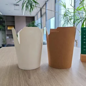 Take Away Brown Kraft Paper White Card Paper Noodle Box Biodegradable Food Paper Box Custom Printed Noodle Boxes