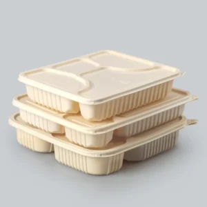 Takeaway Food Container Multi-Compartment Corn Starch Biodegradable Disposable Food Container