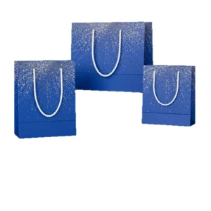 Thick White Cardboard Gift Bag with Rope Handle and Logo Offset Printing