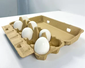 Thickened 12-Count Pulp Egg Box, Various Styles