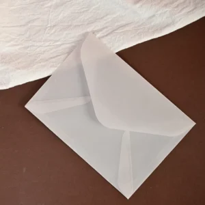 Translucent Vellum Paper Envelopes for Wedding Gift Packaging
