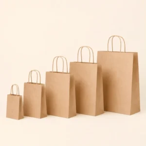 Twist Handle Paper Bag for Coffee Shop Custom Logo Kraft Takeaway Bag Recyclable Foodservice Packaging OEM