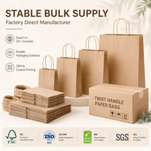 Twisted Handle Paper Bag Factory Eco Kraft Takeaway Bag Custom Logo for Restaurant Cafe and Food Delivery Packaging