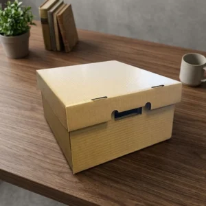 Waterproof Corrugated Cardboard Shipping Carton with Handle, Eco-Friendly, Custom Size