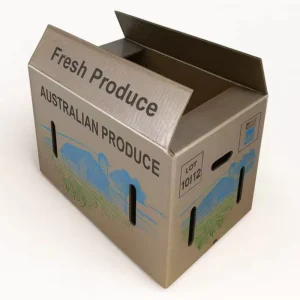 Waterproof Corrugated Carton Box for Agricultural Produce, Cold Chain Transport and Storage