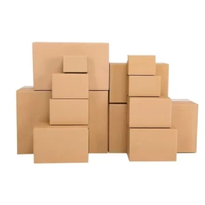 Waterproof Heavy-Duty Stone Paper Carton Shipping Box
