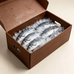 Waterproof Wax Impregnated Corrugated Cardboard Box Cold Chain Food Grade Packaging Custom Logo