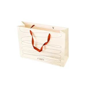 White Card Gift Paper Bag with Custom Design for Retail Store Shopping
