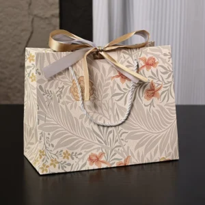 White Card Paper Bags with Custom Printed Logo, Ribbon Handle Gift Bags for Clothing and Cosmetics Packaging