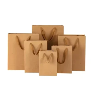 White Card Paper Gift Bags for Packaging