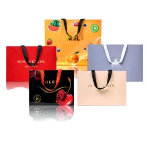 White Cardboard Custom Logo Gift Bag with Ribbon Handle, Offset Printing