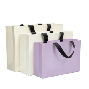White Cardboard Paper Bags with Custom Printing and Ribbon Handles for Clothing, Shoes, and Underwear