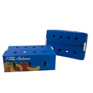 White Corrugated Carton Packaging Box, Custom Double-Wall 5-Layer Fruit Packaging