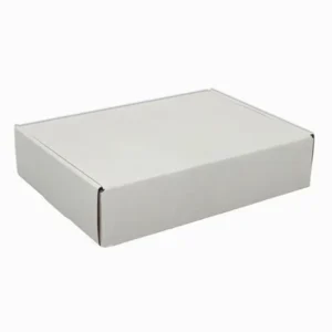 White Corrugated Mailer Box, Kraft Paper Packaging, Custom-Printed Shipping Carton
