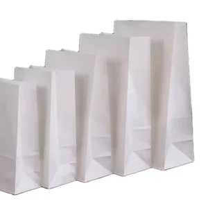 White Kraft Paper Bag