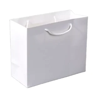White Recyclable Kraft Paper Grocery Shopping Gift Bag with Custom Logo